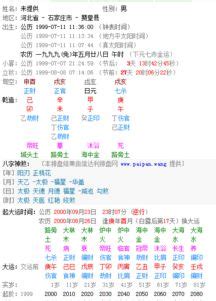 1999年是什么命|1999年是什么年 1999年出生是什么命